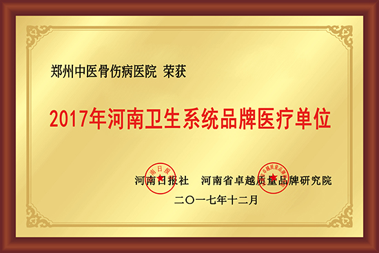 2017年河南卫生系统品牌医疗单位