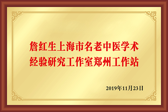 詹红生上海市名老中医学术经验研究工作室郑州工作站