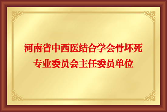 河南省中西医结合学会骨坏死专业委员会主任委员单位