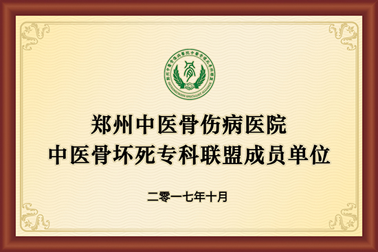 郑州中医骨伤病医院中医骨坏死专科联盟成员单位