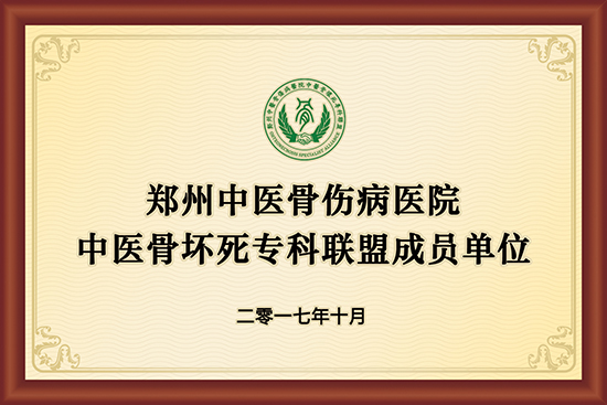 郑州中医骨伤病医院中医骨坏死专科联盟成员单位