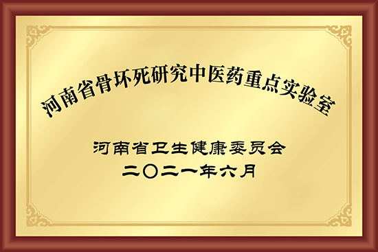 河南省骨坏死研究中医药重点实验室