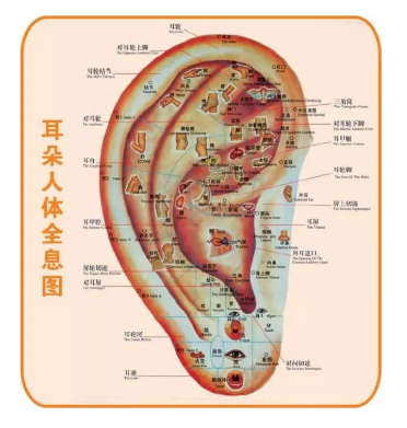 突然有种不“翔”的预感！没想到这里早有准备，轻松化解……