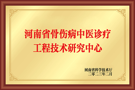 河南省骨伤病中医诊疗工程技术研究中心